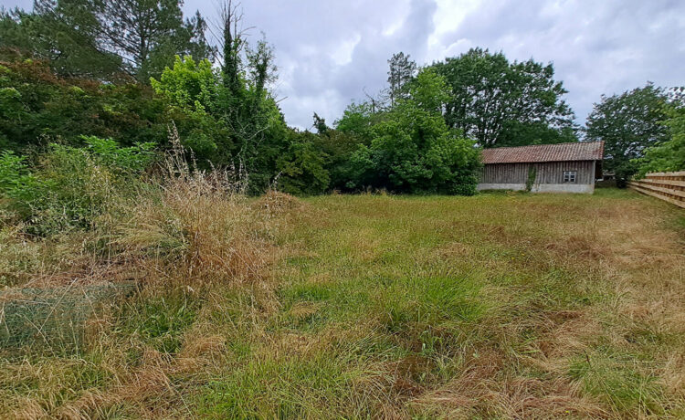 Terrain avec grange à viabiliser en lisière de forêt 1